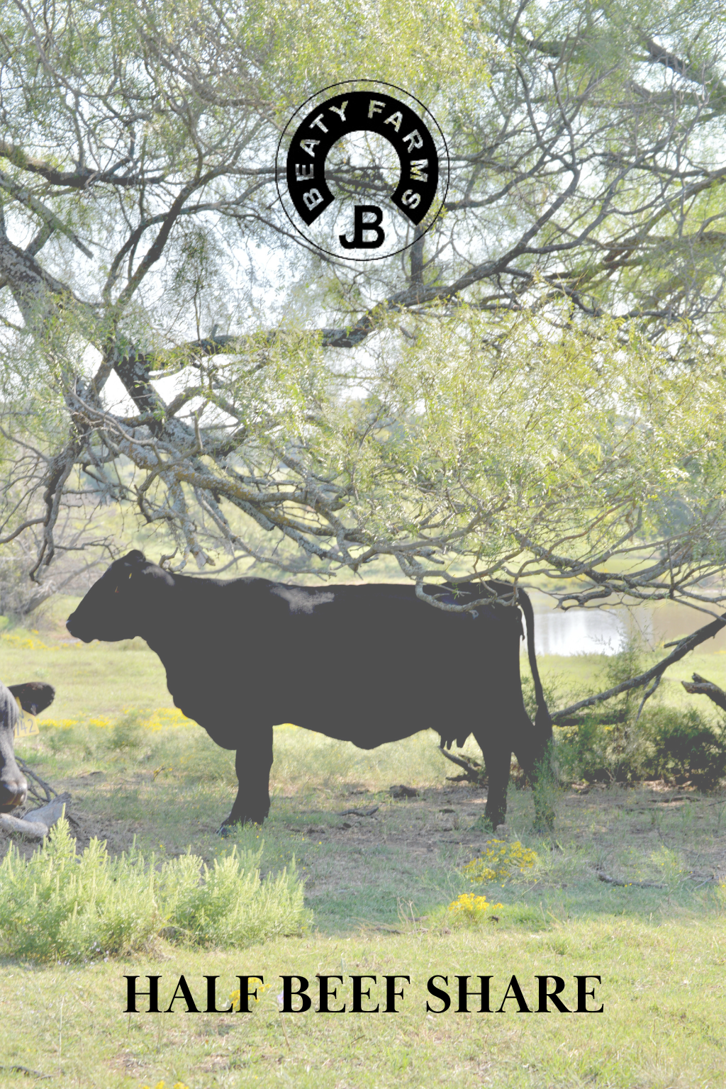 Half Beef Share 50% DEPOSIT